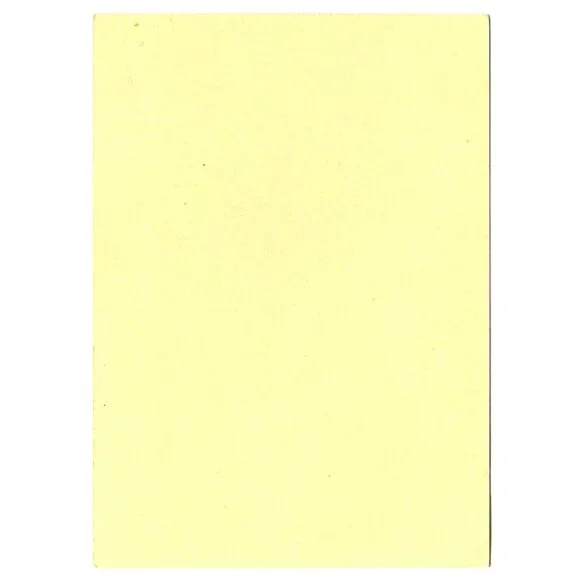 Oiseau-Mouche Glaucopis Hummingbird Print – 1969 Donald Art Co 5x7 Lithograph - Picture 2 of 2